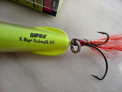 New RAPALA X-RAP SUBWALK, XRSB-9 Subsurface Walk-The-Dog Lure "Bone ...