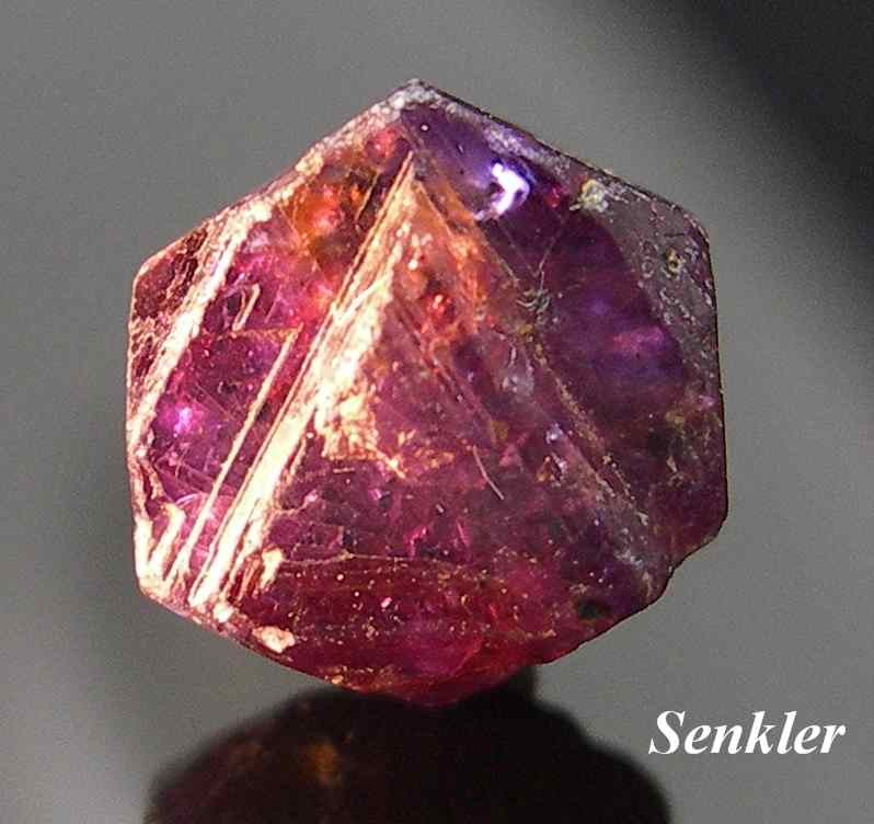 senkler