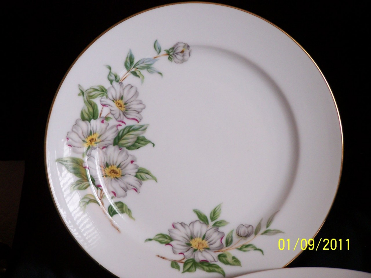 China Pattern Finder | hira china dinner plate hard to find glenda pattern ebay China Pattern Finder | hira china dinner plate hard to find glenda pattern ebay