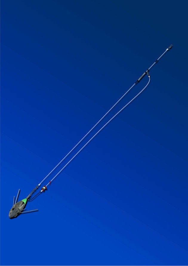 ANYFISH ANYWHERE SEA/SHORE/BOAT/MATCH FISHING RIG/RIGS eBay