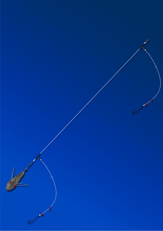 ANYFISH ANYWHERE SEA/SHORE/BOAT/MATCH FISHING RIG/RIGS eBay