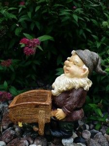 Wildlife Woodcarvings