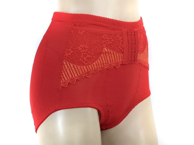 NEW SHEER FIRM SHAPER GIRLD TUMMY CONTROL BRIEF PANTIES