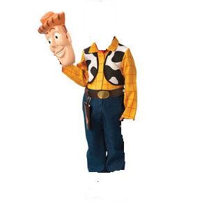 woody toy story fancy dress