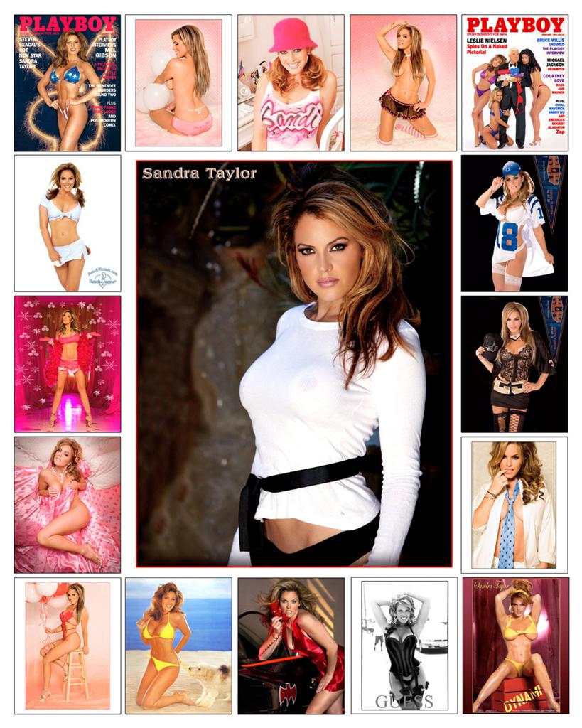 PLAYBOY SANDRA TAYLOR NEW 8x10 PHOTO COLLAGE SIGNED 2U! | eBay