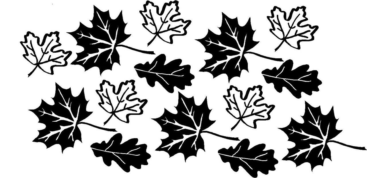 Leaves Fall Autumn Wall Stickers Vinyl Decals Decor Art eBay