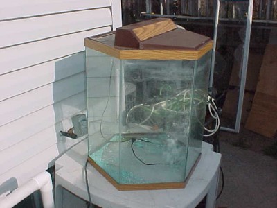 OCTAGON FISH TANK AQUARIUM 20 GALLON | eBay