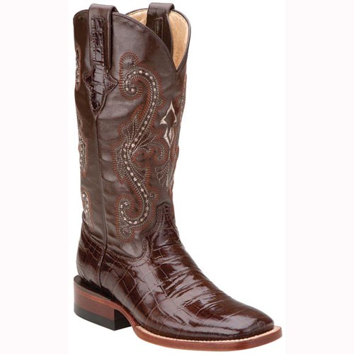90793 09 Ferrini Womens Alligator Print 12" Square Toe Cowboy Boot Chocolate New eBay
