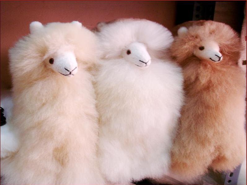 llama teddy