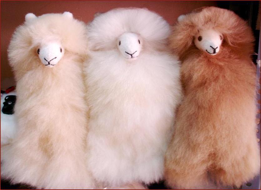 llama teddy