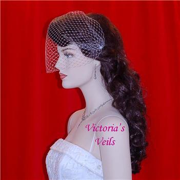 Birdcage Cage Bridal Wedding Veil bc2