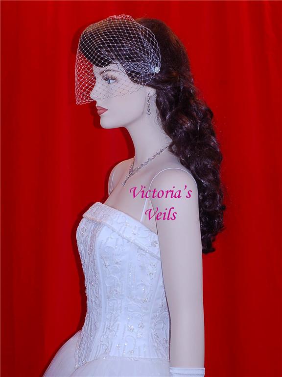 Birdcage wedding veil