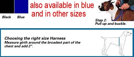 2 step harness details