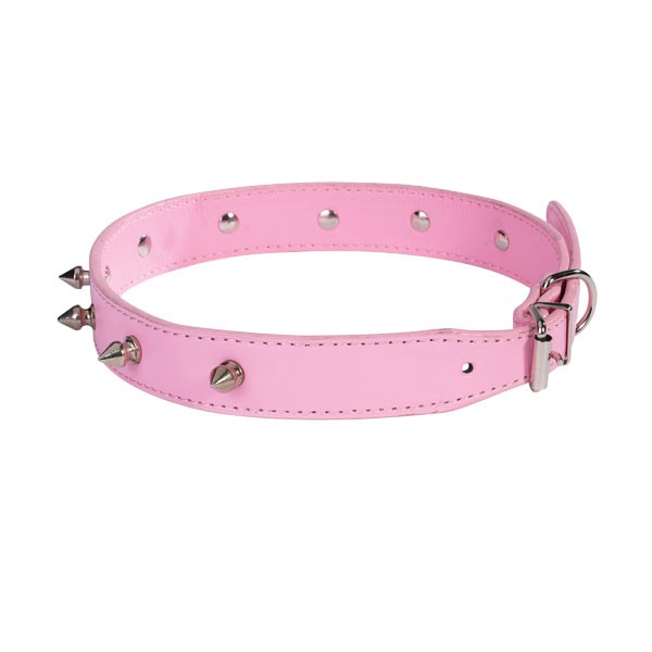 leash bag