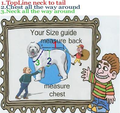 new size chart