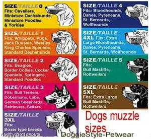 muzzle chart