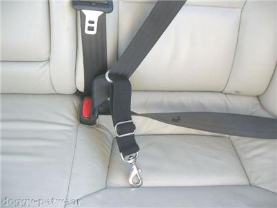 solvitseat beltconnection