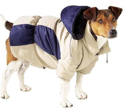 coat parka