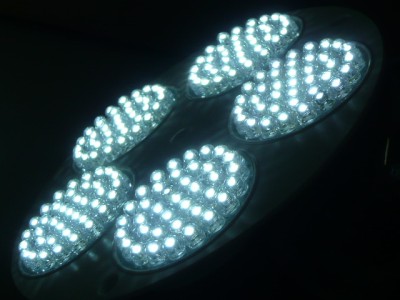 White Grow Light on Ten 110v Led Grow Light Bulb Hydroponic White Diy 120v Flowering