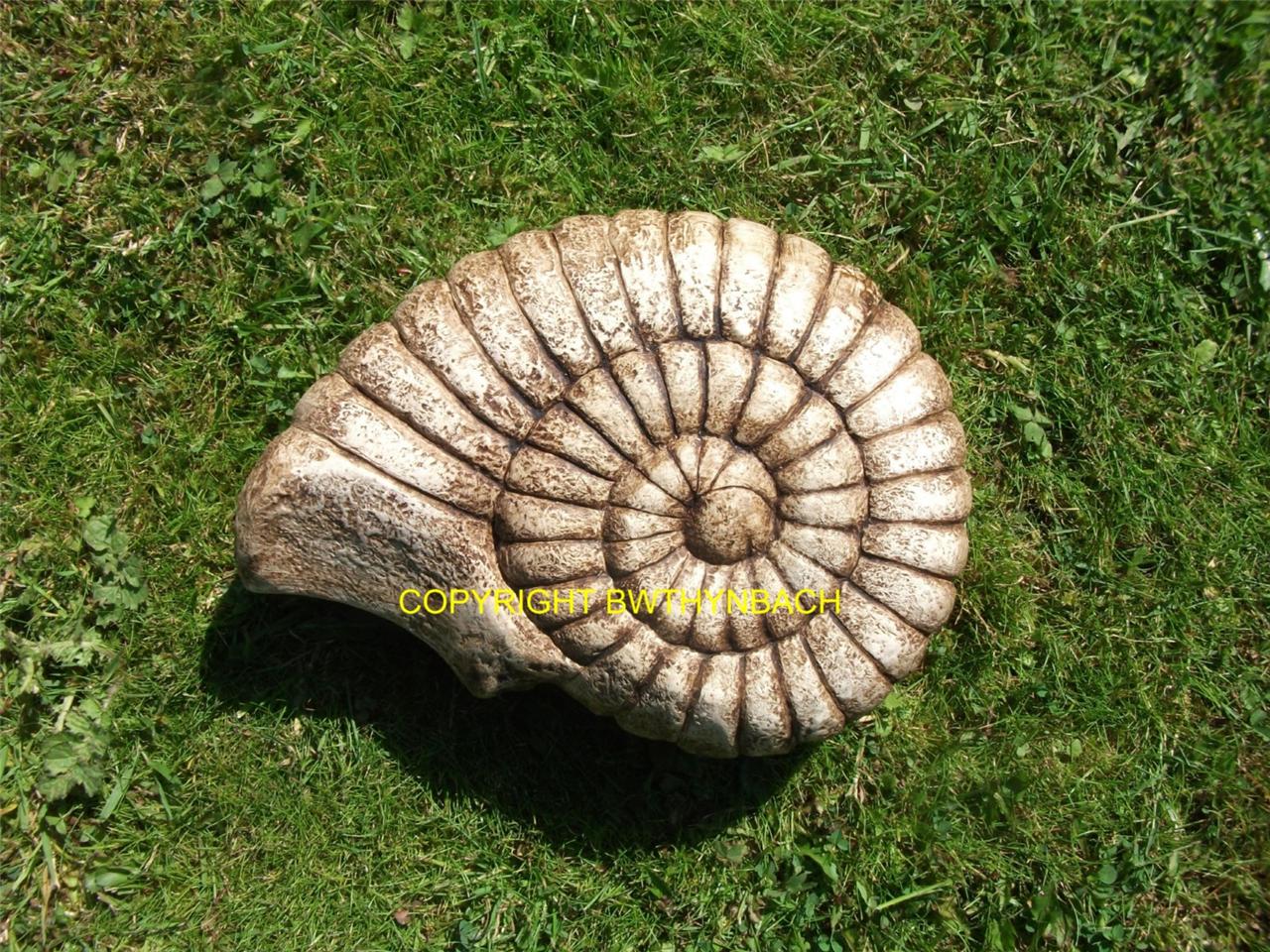large dinosaur fossil mold