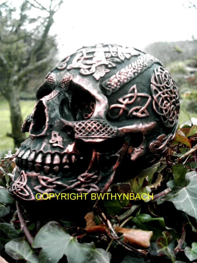 NEW RUBBER LATEX MOULD MOULD MOLD GOTHIC CELTIC SKULL HALLOWEEN - Afbeelding 1 van 1