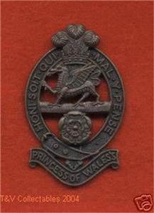 egypt defence BRITISH ARMY - PRINCESS OF WALES'S ROYAL REGIMENT pic