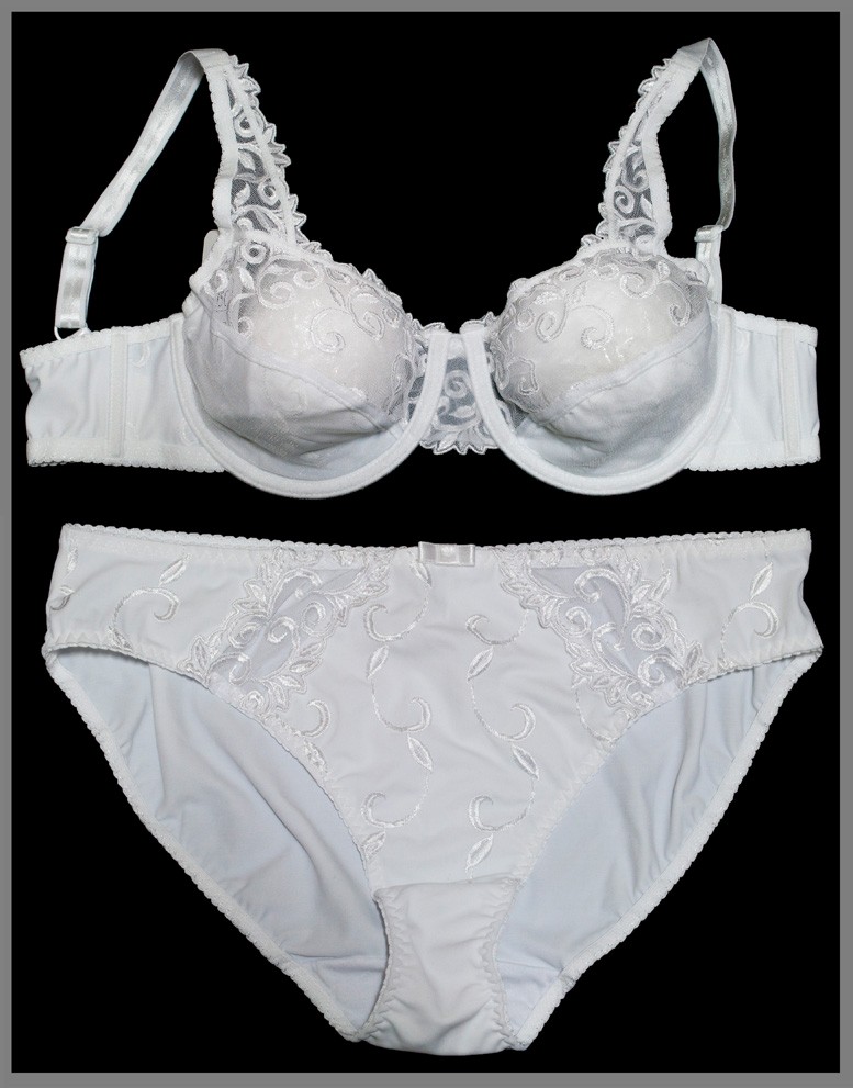 White Embroidered Semi Sheer Lace Non Padded Bra white embroidered semi sheer lace non padded bra