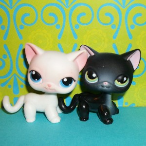 lps shorthair 336