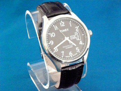 timex wr100