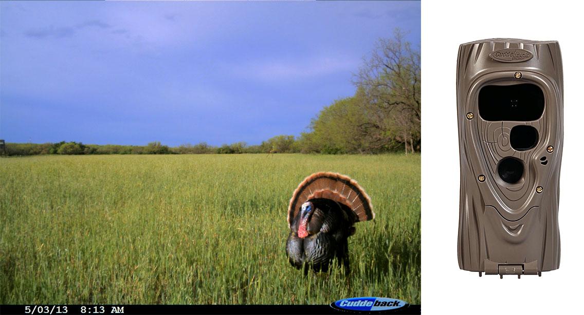 NEW Cuddeback Attack Black Flash No Glow 1163 Digital IR Hunting Trail