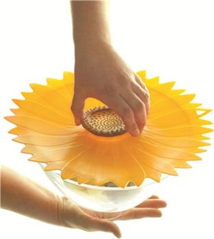 eBay Image Hosting at www.auctiva.com