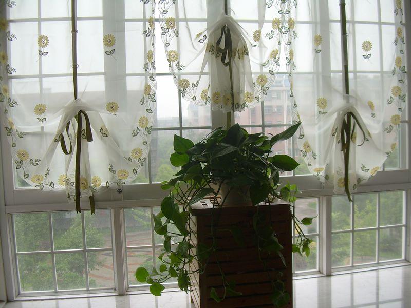 French Country Embroidered Balloon Shade Sheer Voile Cafe