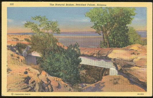 Image for NATURAL BRIDGE PETRIFIED FOREST, ARIZONA