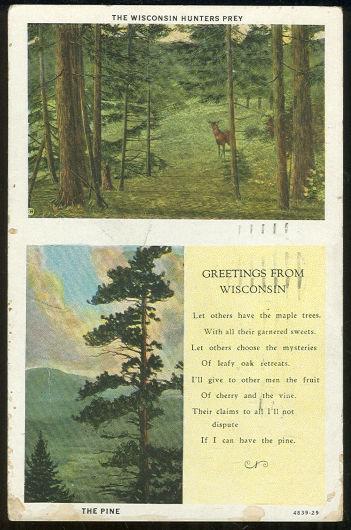 Postcard - Wisconsin Hunter's Party and the Pine