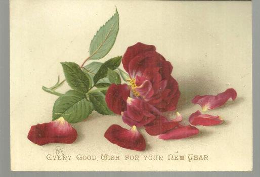 Christmas - Victorian Good Wish for New Year Card with Red Rose