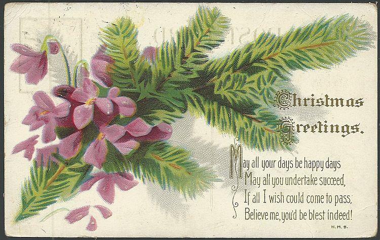 Postcard - Christmas Greetings Postcard with Violets and Evergreen