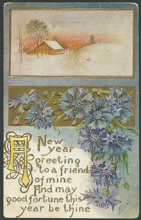 Postcard - New Year Postcard with Snowy Landscape and Carnations