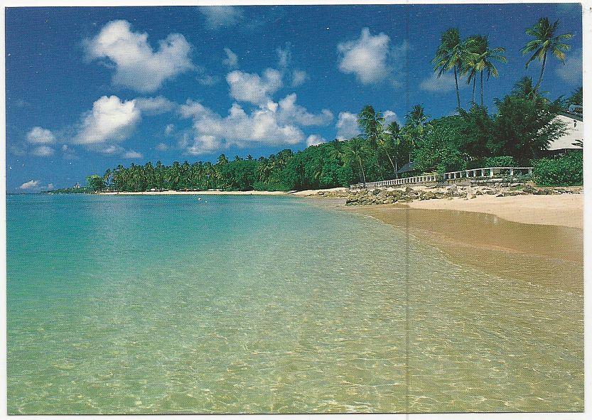 Image for LARGE POSTCARD OF COBBLERS COVE, BARBADOS