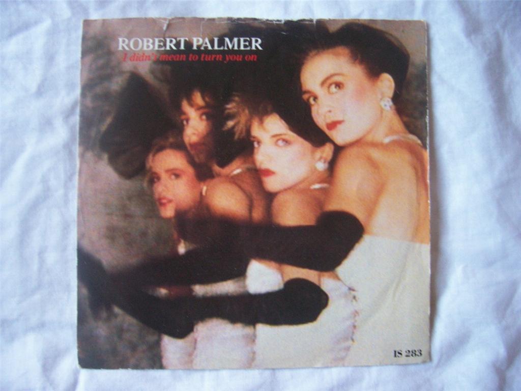 Robert Palmer - I Didn't Mean To Turn You On Album