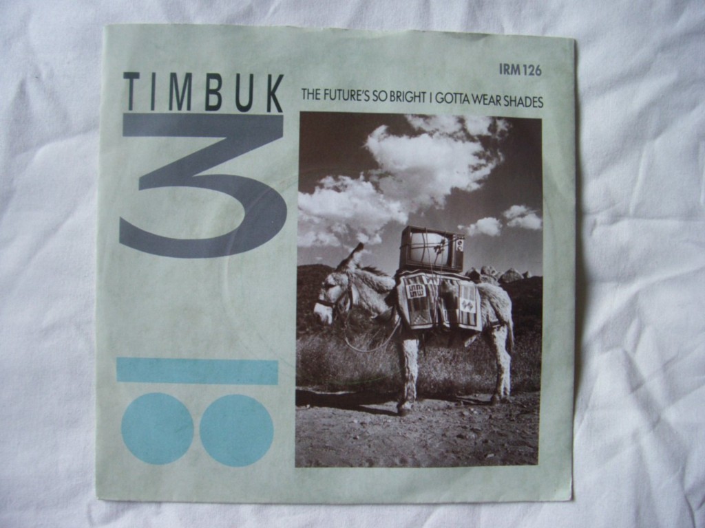 Timbuk 3 - The Future's So Bright I Gotta Wear Shades