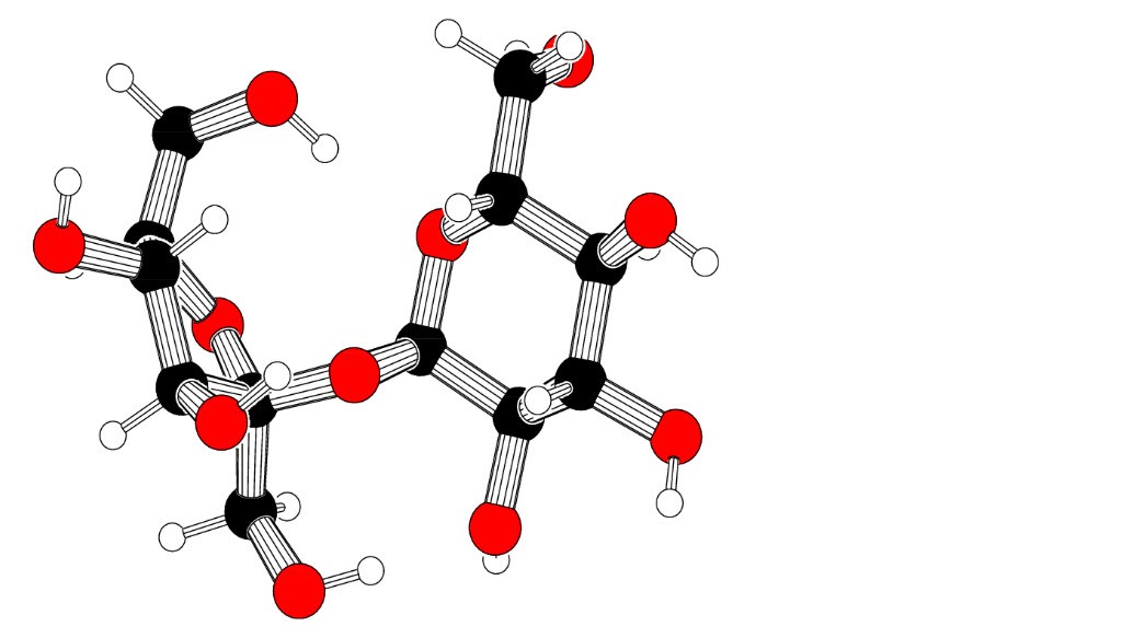 Sucrose Molecular Model Kit