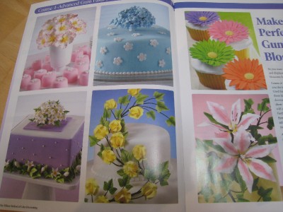 Wilton Course 4 ADVANCED GUM PASTE FLOWERS Book & Student ...