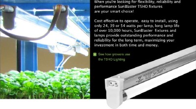 Grow Lighting on Pcs Sunblaster Grow Light 1 2  T5 H O Fluor Fixture   Ebay