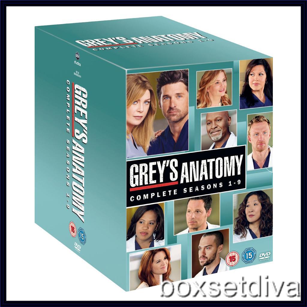 Greys Anatomy season 5 - Wikipedia