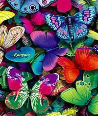 THE RAINBOW BUTTERFLY 1