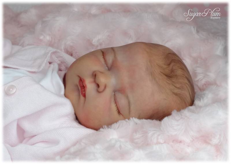 Sugar Plum Nursery Reborn Baby Doll Serah By Adrie Stoete Image Is Loading Sugar Plum Nursery Reborn Baby Doll Serah