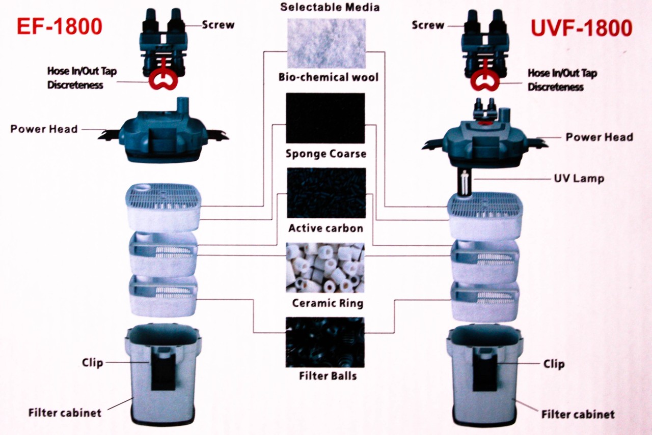 Aquarium Canister Filter Installation Free Programs, Utilities and