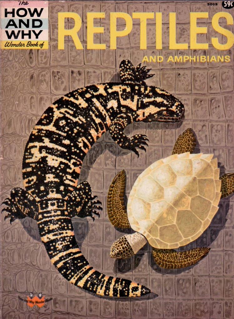 The How and Why Wonder Book of REPTILES AND AMPHIBIANS 5008 S/Hand