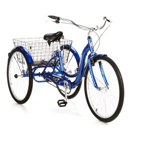 schwinn tricycle sam's club