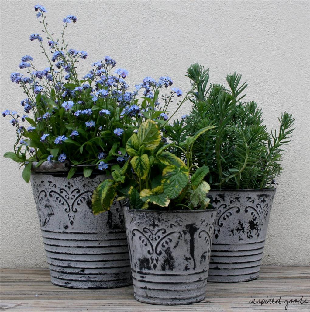 shabby chic french grey metal buckets planters vintage shabby chic french grey metal buckets planters vintage